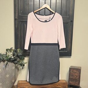 St. John Elegant Pink and Gray Long Sleeve Dress